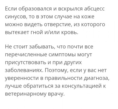 Screenshot_20220814-173646_Chrome.jpg