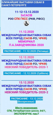 FB_IMG_1607598952625.jpg