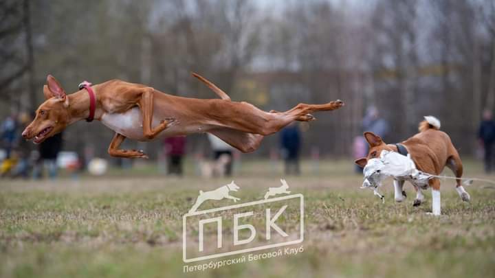 FB_IMG_1620170891600.jpg